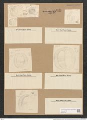 Campylodiscus horologium Williams. (de-Toni-Nr.: Genus 57, Species 2458) Zeichnungen Sammlung Grunow Nr. 4948 (NHMW-BOT-W0373165)